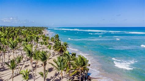 playa palmeras|playa palmera reviews.